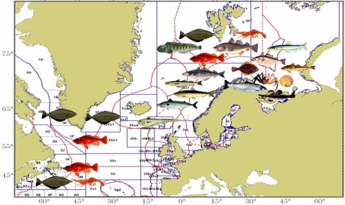 Районы промысла и виды водных биологических ресурсов, добываемые предприятиями Мурманской области